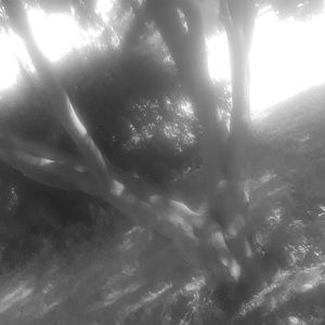 Meet your Posher, Ebere